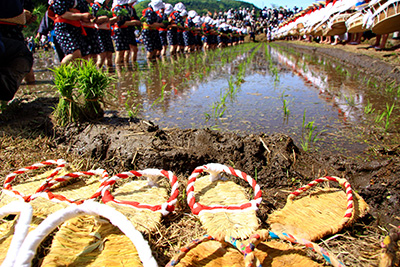 学会についての画像