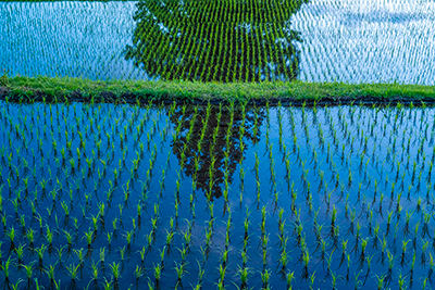 学会についての画像